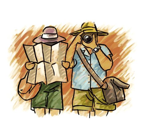 tourism-9112598